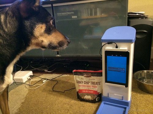 IcPooch dispensing treats during our review. 