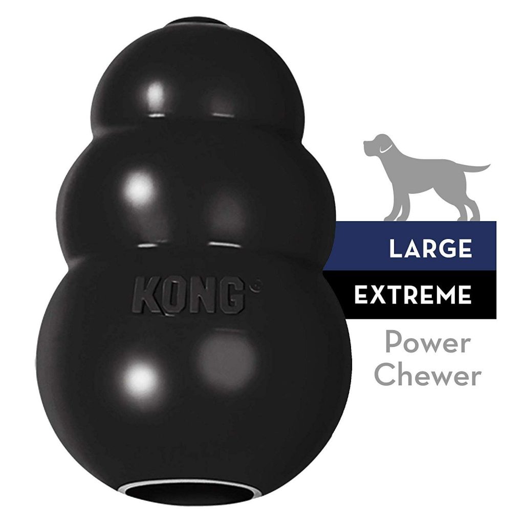 KONG Extreme Dog Toy