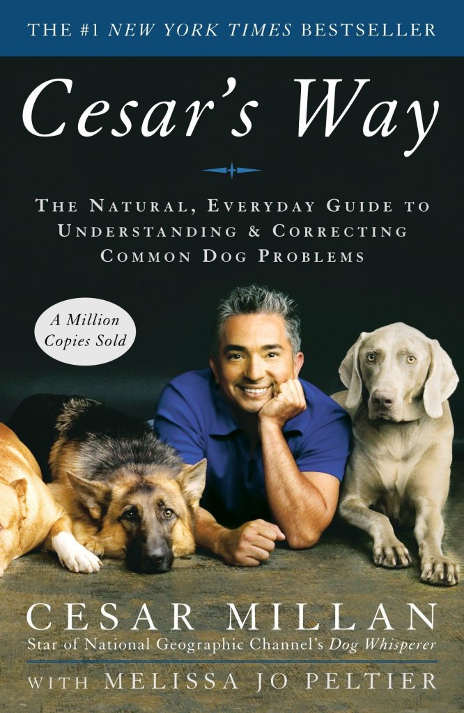 Cesar's Way: The Natural, Everyday Guide to Understanding & Correcting Common Dog Problems