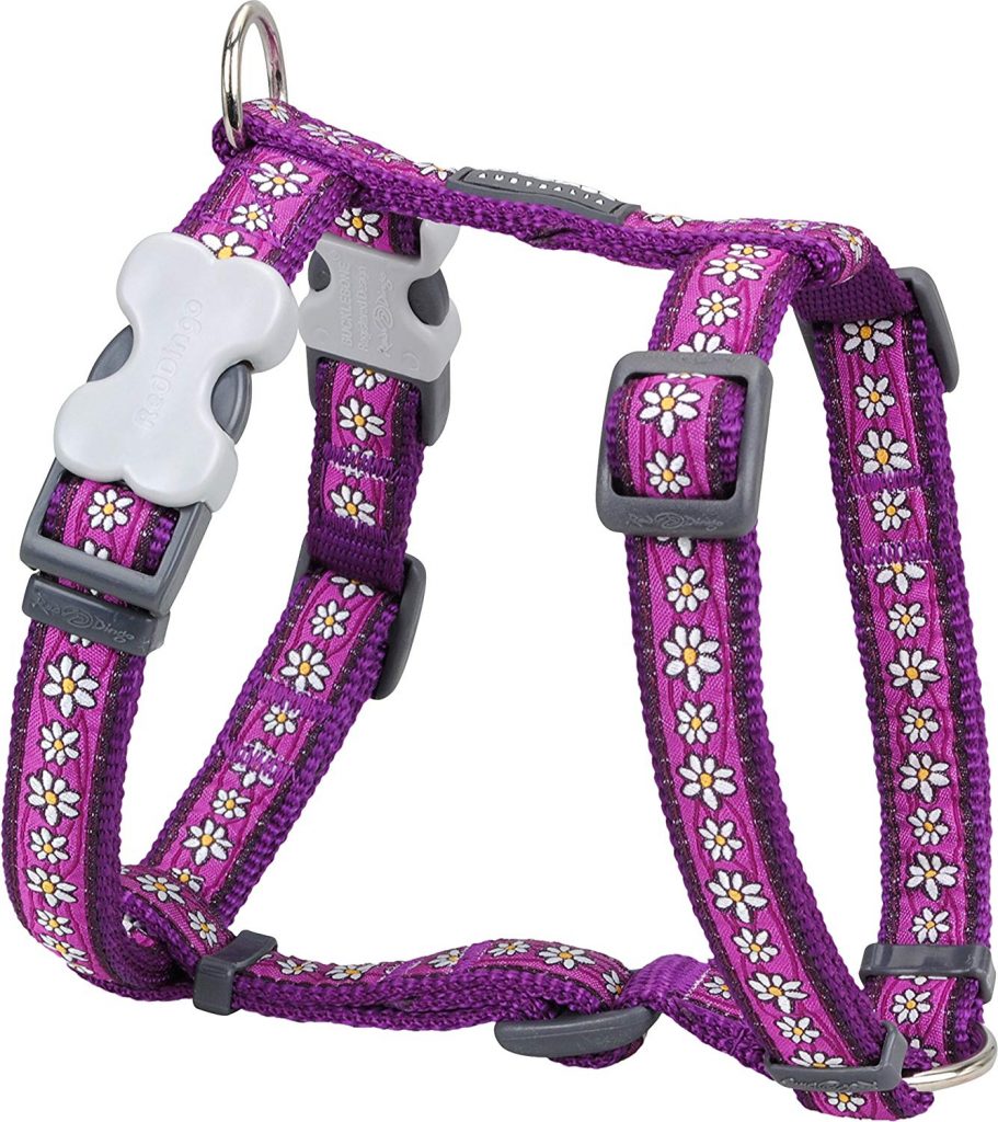 Red Dingo’s Designer Harness