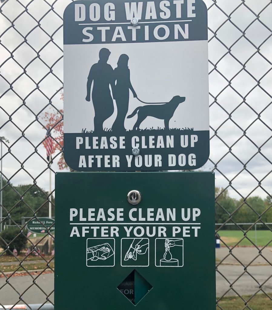 Daycare playing field for dogs