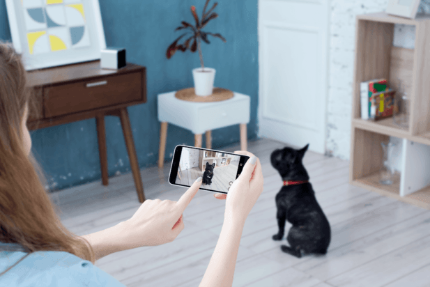 Petcube Review