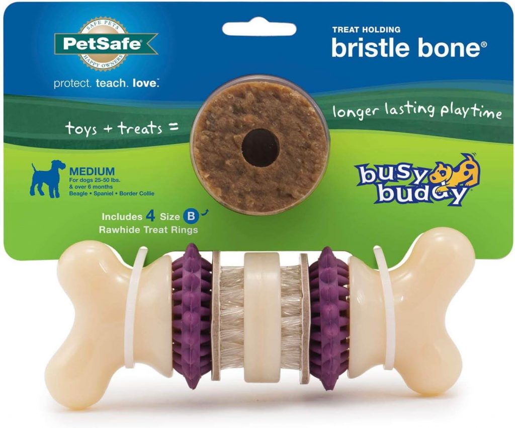 Busy Buddy Bristle Bone Dog Toy