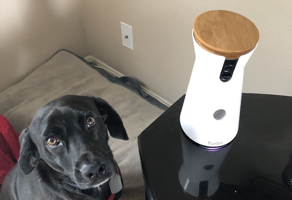 Furbo Dog Camera Review