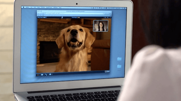 While reviewing the IcPooch we were able to use both smartphone and laptop to check in on our dog