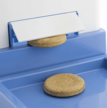 Homemade cookies coming out of IcPooch when we reviewed it.