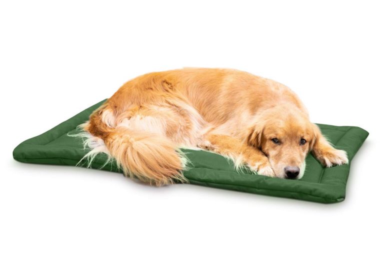 Best Indestructible Dog Crate Pads in 2021