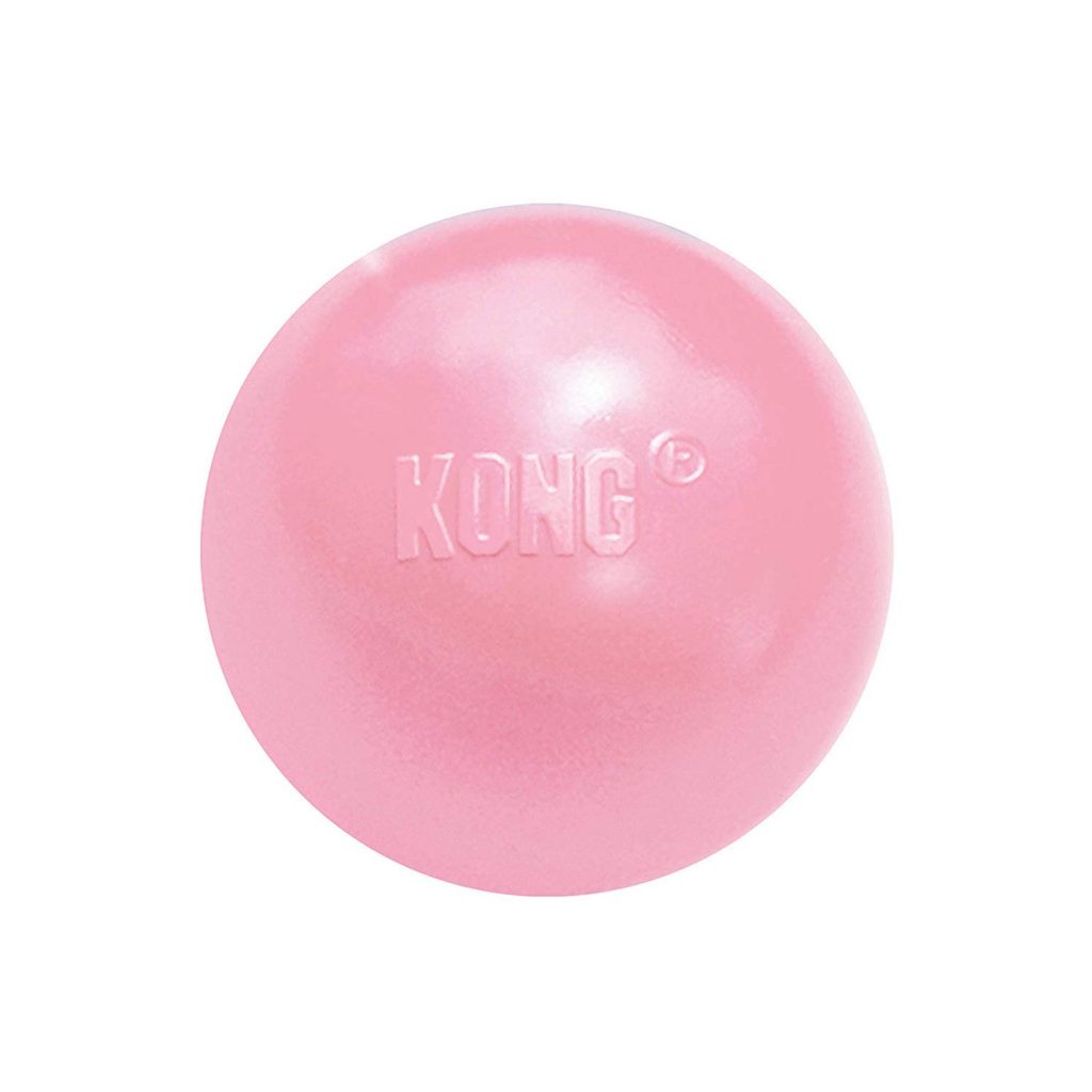 Kong Puppy Ball