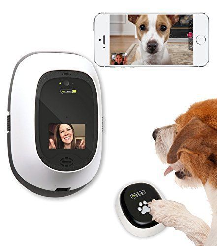 Dog operating Petchatz with Pawcall