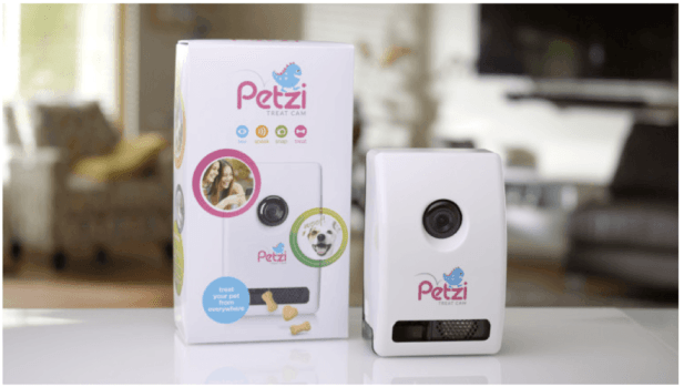 Reviewing The Petzi Treat Cam