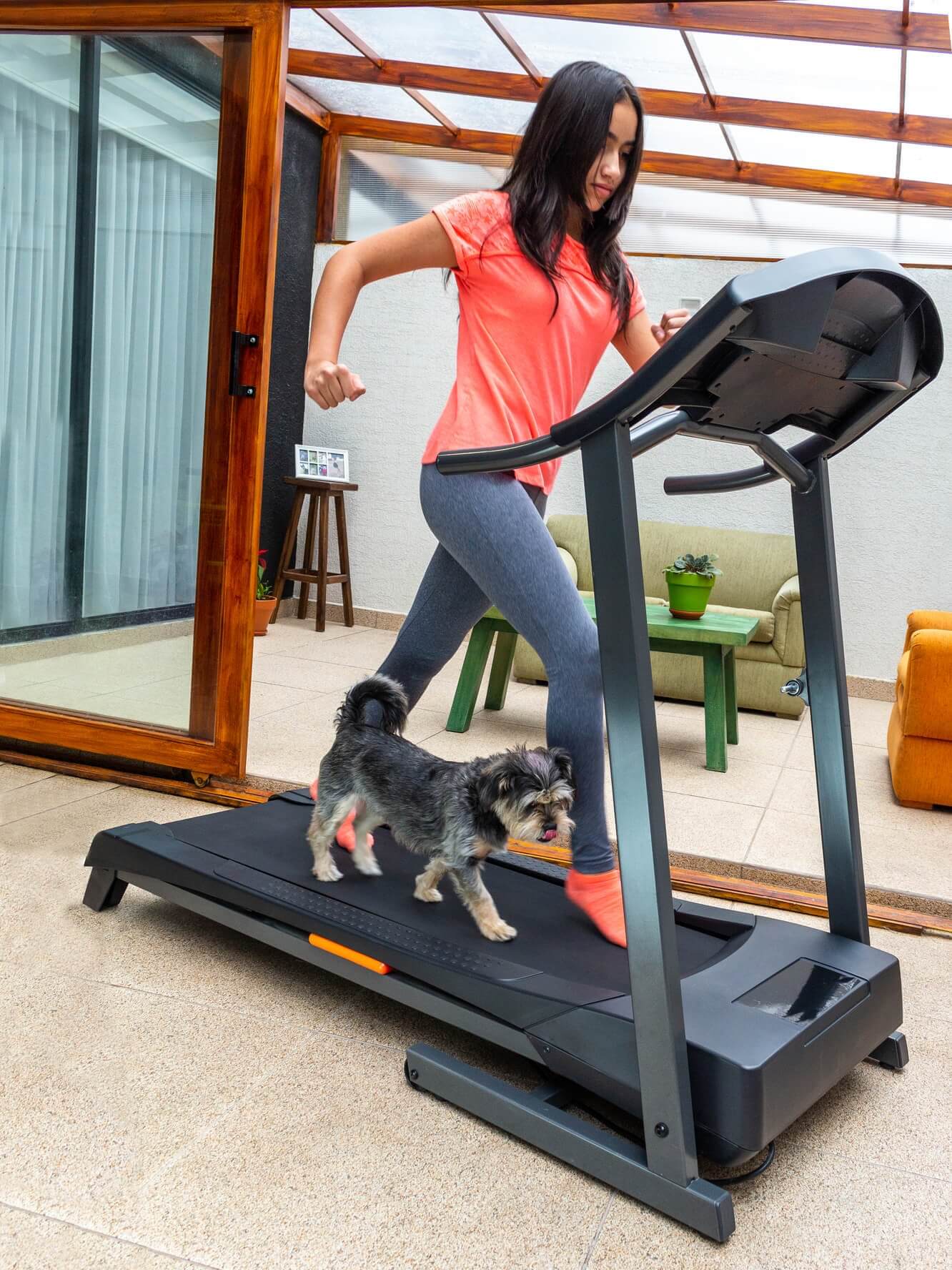 girl and dog on human treadmill. 