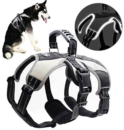 Mihachi Secure Dog Harness